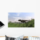 Tyrannosaurus Rex Hunting Open Wall Decal Design 4