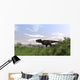 Tyrannosaurus Rex Hunting Open Wall Decal Design 4