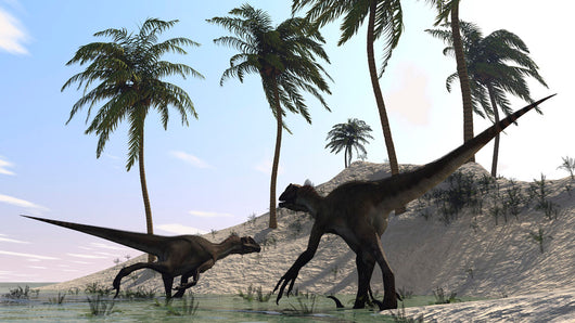 Pair Utahraptors Hunting Shores Wall Decal