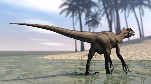 Utahraptor Walking Shallow Water Wall Decal
