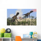 Two Utahraptors Arid Climate Wall Decal