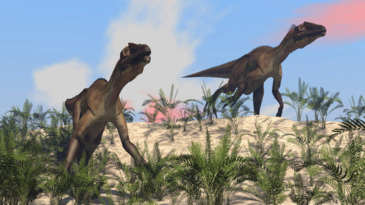 Two Utahraptors Arid Climate Wall Decal