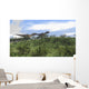 Two Utahraptors Walking across Wall Decal