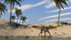 Utahraptor Walking along Shoreline Wall Decal