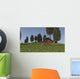 Kentrosaurus and Coelophysis Walking Wall Decal