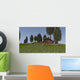 Kentrosaurus and Coelophysis Walking Wall Decal