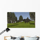 Triceratops Walking across Grassy Wall Decal Design 4