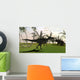 Confrontation between Monolophosaurus and Wall Decal