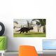Brown Einiosaurus Walking Field Wall Decal Design 14