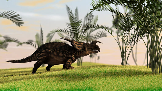 Brown Einiosaurus Walking Field Wall Decal Design 14