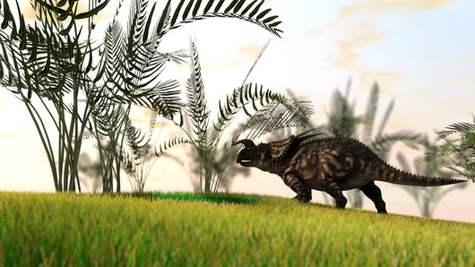 Brown Einiosaurus Walking Field Wall Decal Design 13