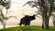 Brown Einiosaurus Walking Field Wall Decal Design 12