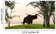 Brown Einiosaurus Walking Field Wall Decal Design 12