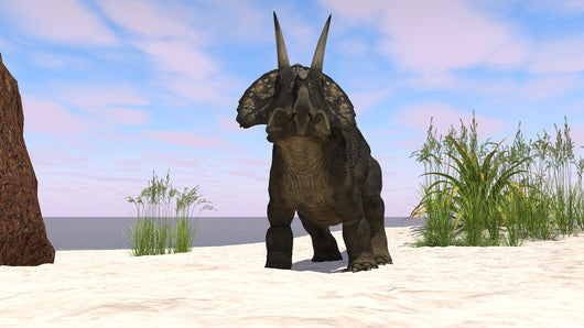 Triceratops Beach Wall Decal Design 2