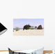 Triceratops Beach Wall Decal Design 1