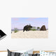 Triceratops Beach Wall Decal Design 1