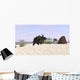 Triceratops Beach Wall Decal Design 1