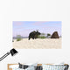 Triceratops Beach Wall Decal Design 1