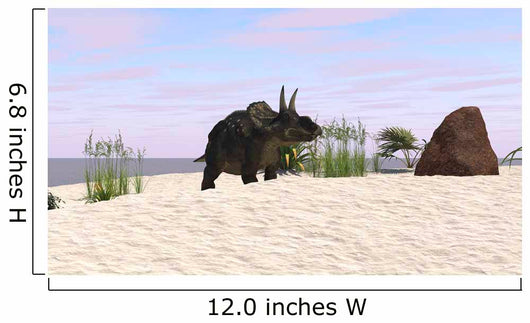 Triceratops Beach Wall Decal Design 1