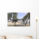 Two Gigantoraptors Running Wall Decal