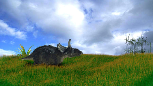 Triceratops Walking across Prehistoric Wall Decal