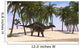 Dicraeosaurus Walking along Shoreline Wall Decal