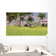 Dilophosaurus Hunting Open Field Wall Decal Design 1