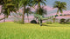 Dilophosaurus Hunting Open Field Wall Decal Design 1