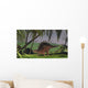 Kentrosaurus Walking through Field Wall Decal Design 1