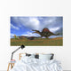Spinosaurus Chasing Two Gigantoraptors Wall Decal