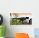 Tyrannosaurus Rex Hunting for Wall Decal Design 19