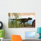Tyrannosaurus Rex Hunting for Wall Decal Design 19