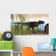 Tyrannosaurus Rex Hunting for Wall Decal Design 19