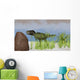 Tyrannosaurus Rex Hunting for Wall Decal Design 18