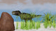 Tyrannosaurus Rex Hunting for Wall Decal Design 18