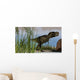 Tyrannosaurus Rex Hunting for Wall Decal Design 17