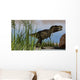 Tyrannosaurus Rex Hunting for Wall Decal Design 17