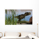 Tyrannosaurus Rex Hunting for Wall Decal Design 17
