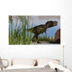Tyrannosaurus Rex Hunting for Wall Decal Design 17