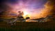 Three Utahraptors Running across Wall Decal Design 6