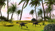 Two Gigantoraptors Running across Wall Decal Design 2