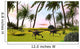 Two Gigantoraptors Running across Wall Decal Design 2