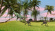 Dilophosaurus Chasing Two Gigantoraptors Wall Decal
