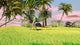 Dilophosaurus Hunting Field for Wall Decal Design 2