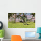 Dilophosaurus Hunting Field for Wall Decal Design 1