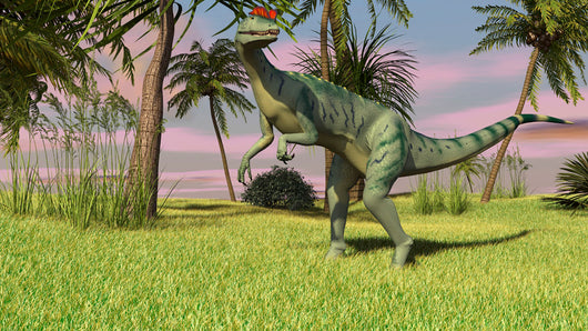 Dilophosaurus Hunting Field for Wall Decal Design 1