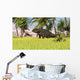 Triceratops Roaming Tropical Environment Wall Decal Design 3