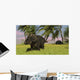 Triceratops Roaming Tropical Environment Wall Decal Design 1