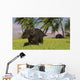 Triceratops Roaming Tropical Environment Wall Decal Design 1