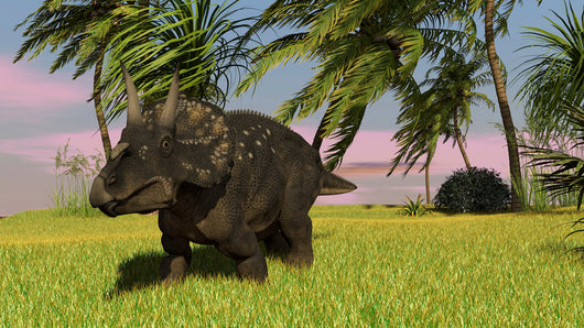 Triceratops Roaming Tropical Environment Wall Decal Design 1